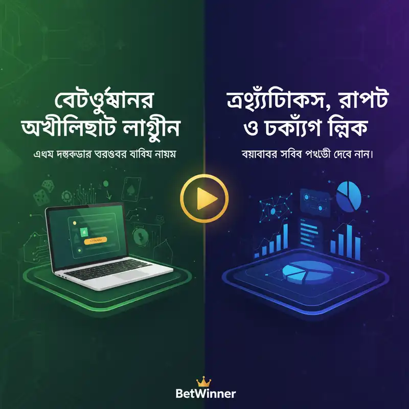 BetWinner Affiliate Login and Dashboard Interface Overview